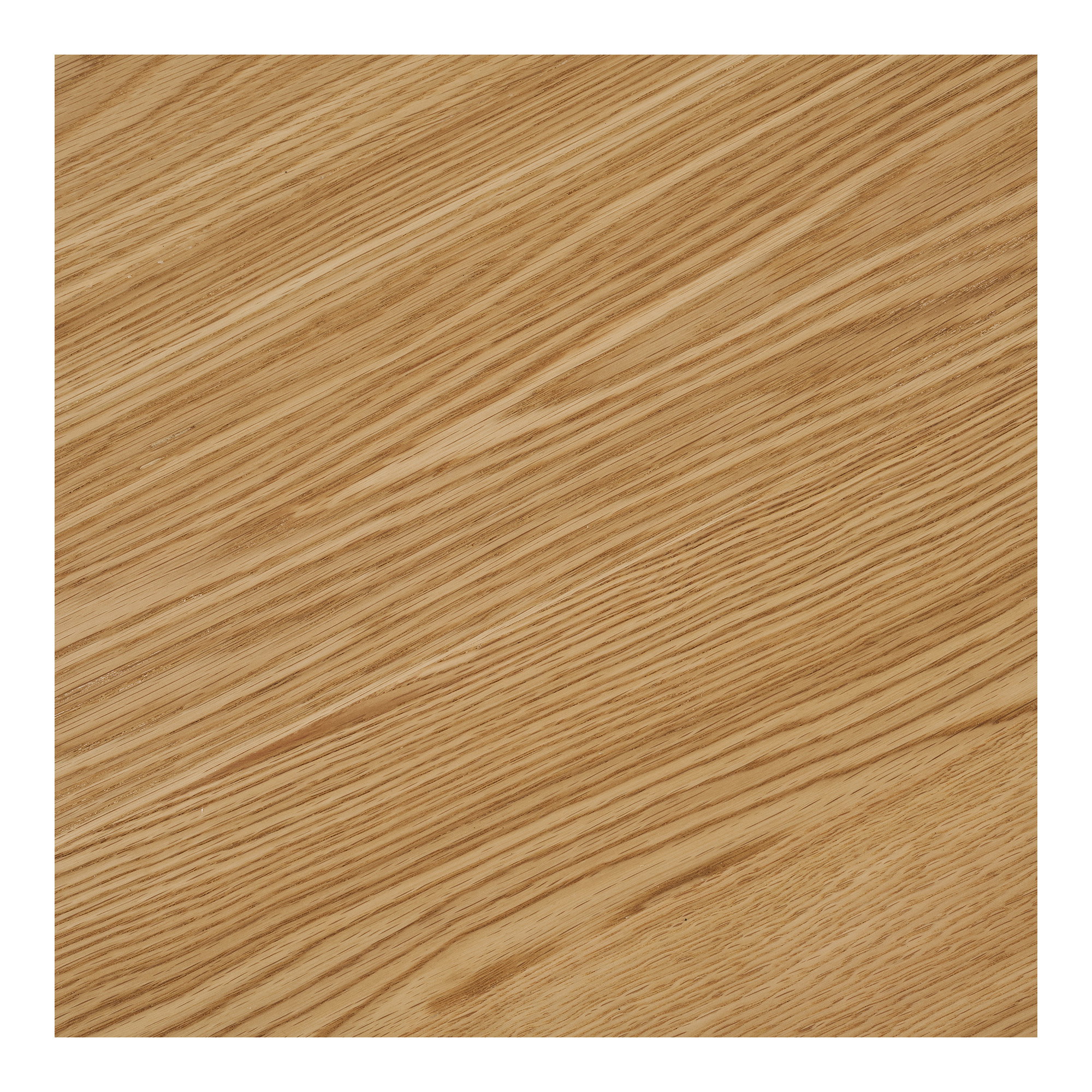 Darwin Eettafel