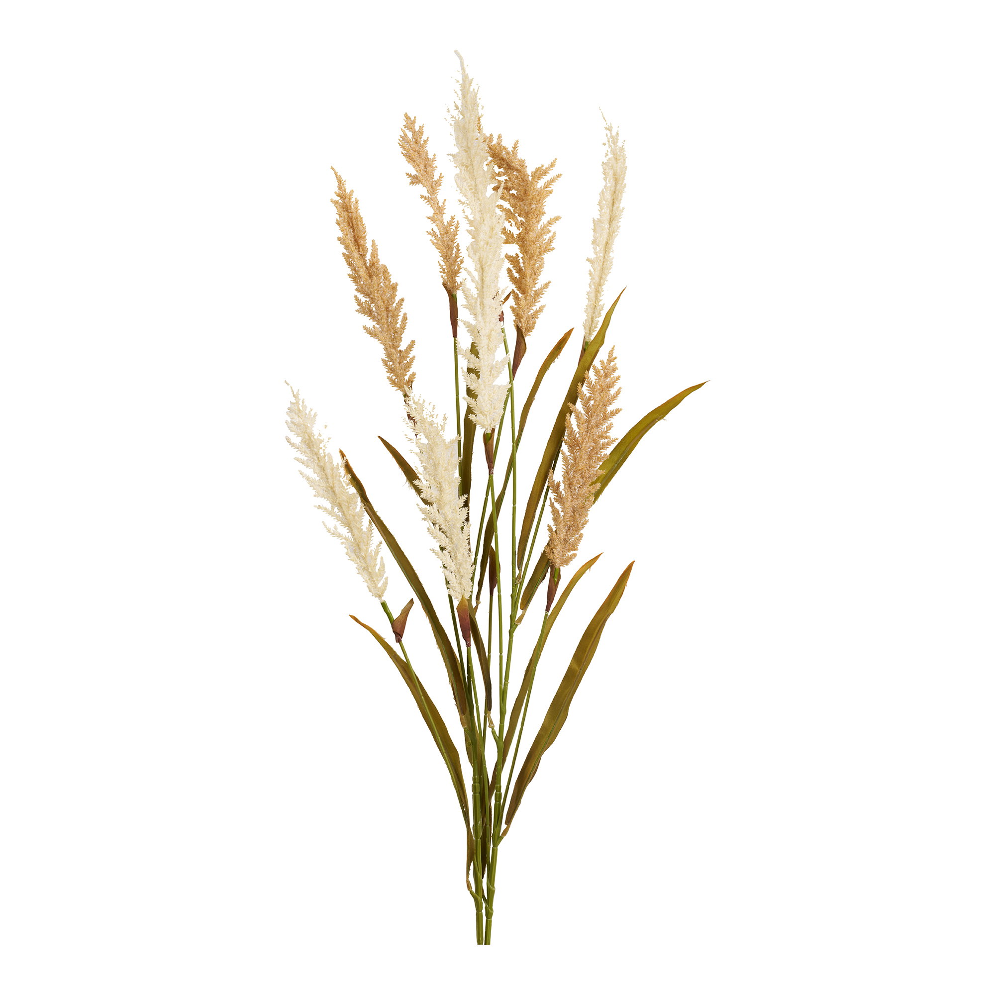 Decoratief Gras