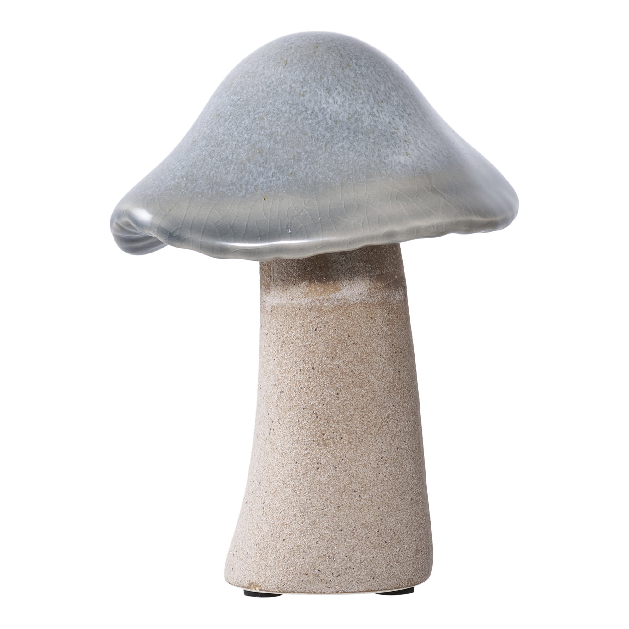 Decoratieve paddenstoelen