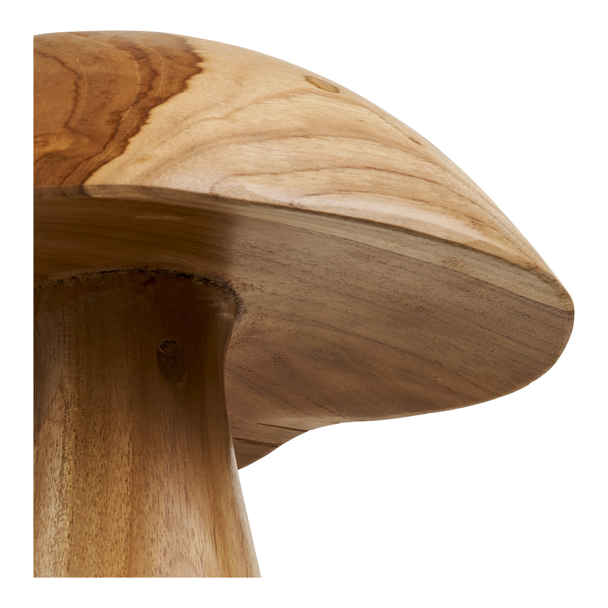 Kodi Paddenstoelen