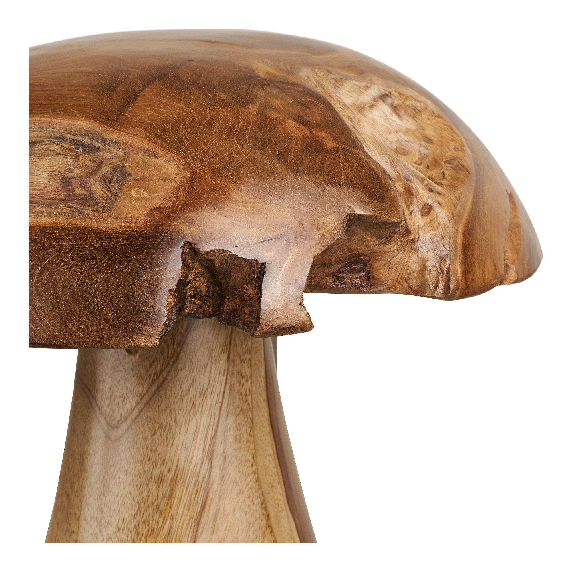 Kodi Paddenstoelen
