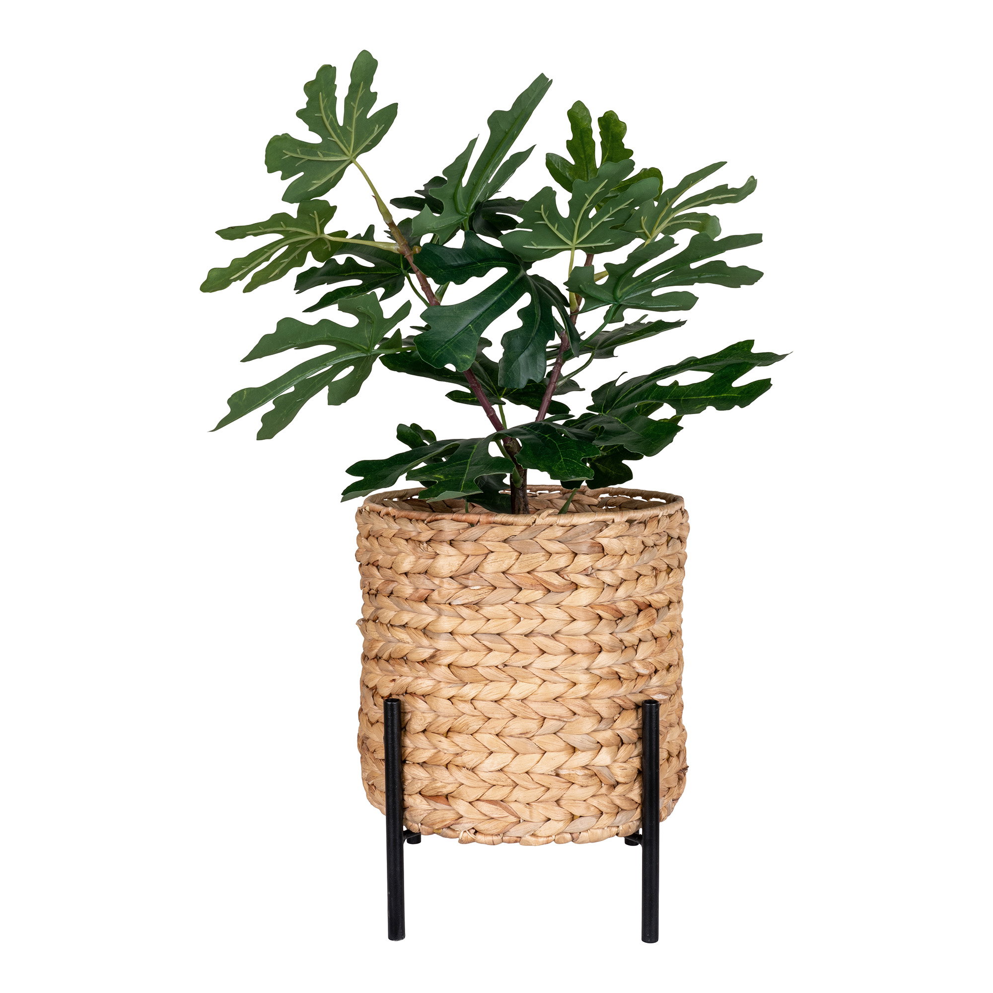 Antas Bloempot