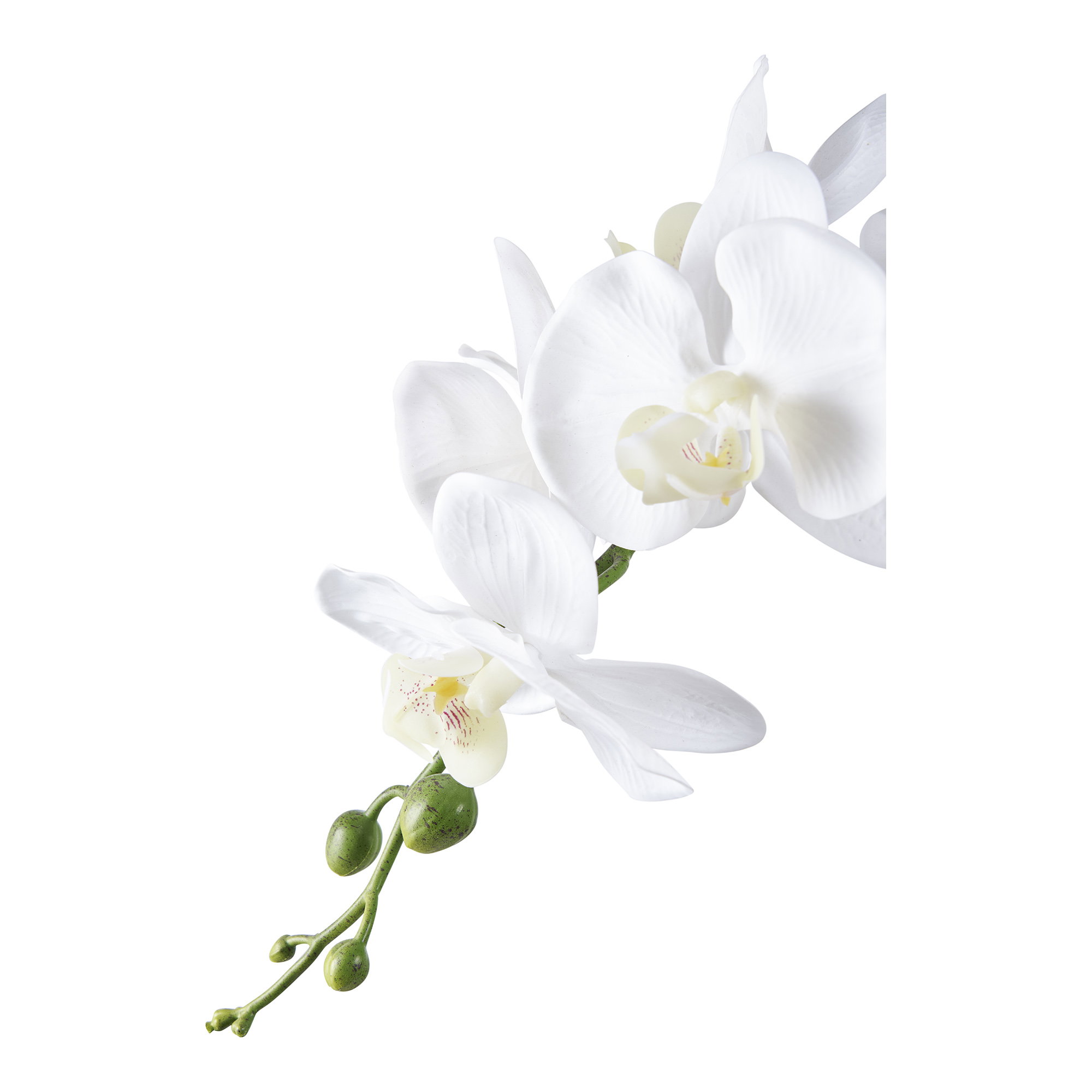 Orchidee Kunstplant