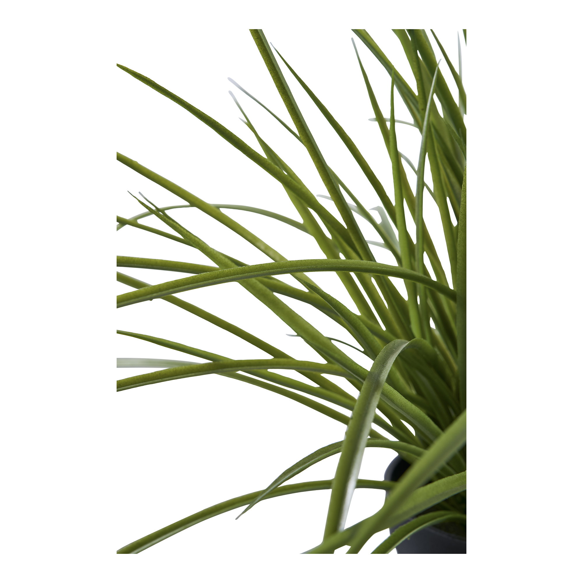 Gras Kunstplant