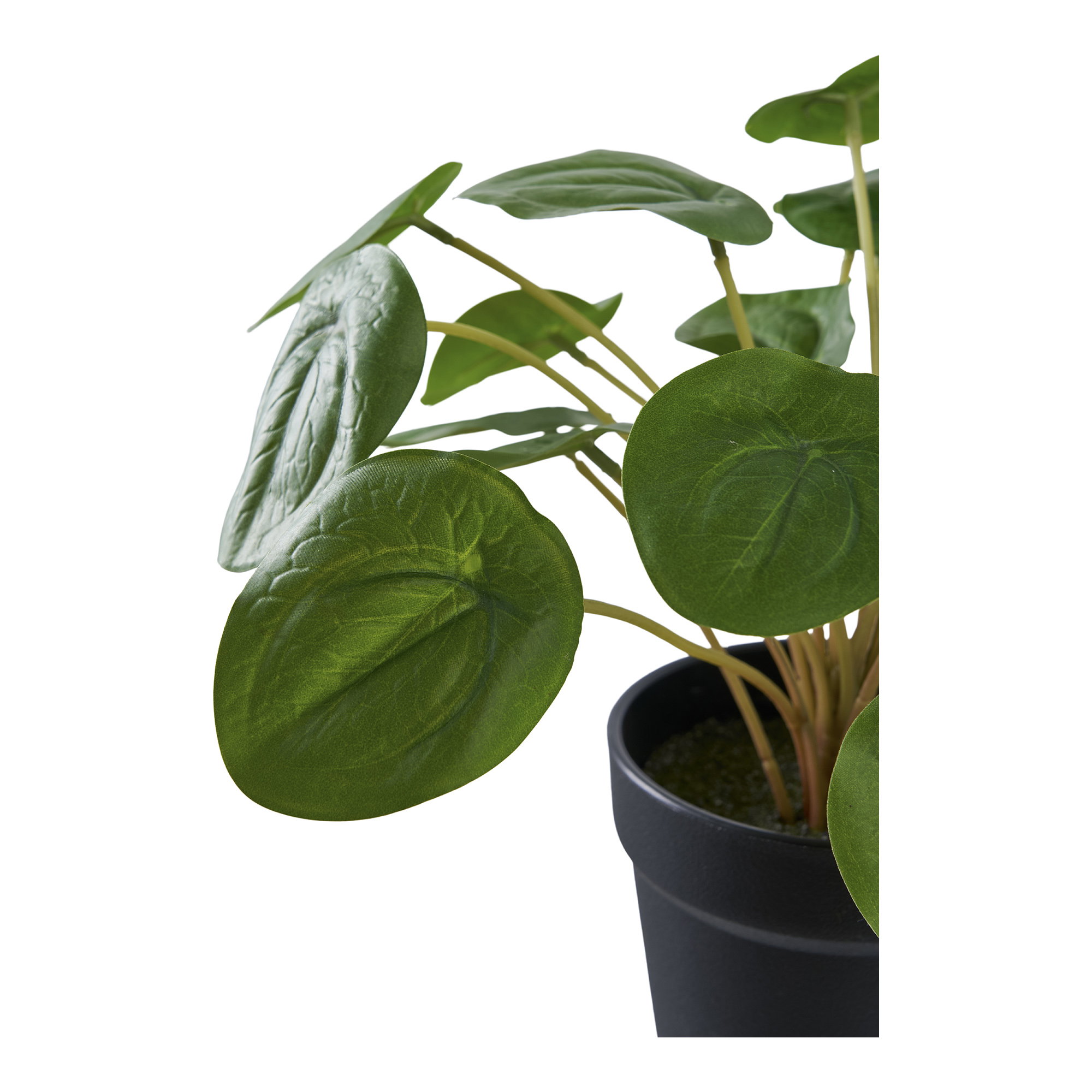 Pelia Kunstplant
