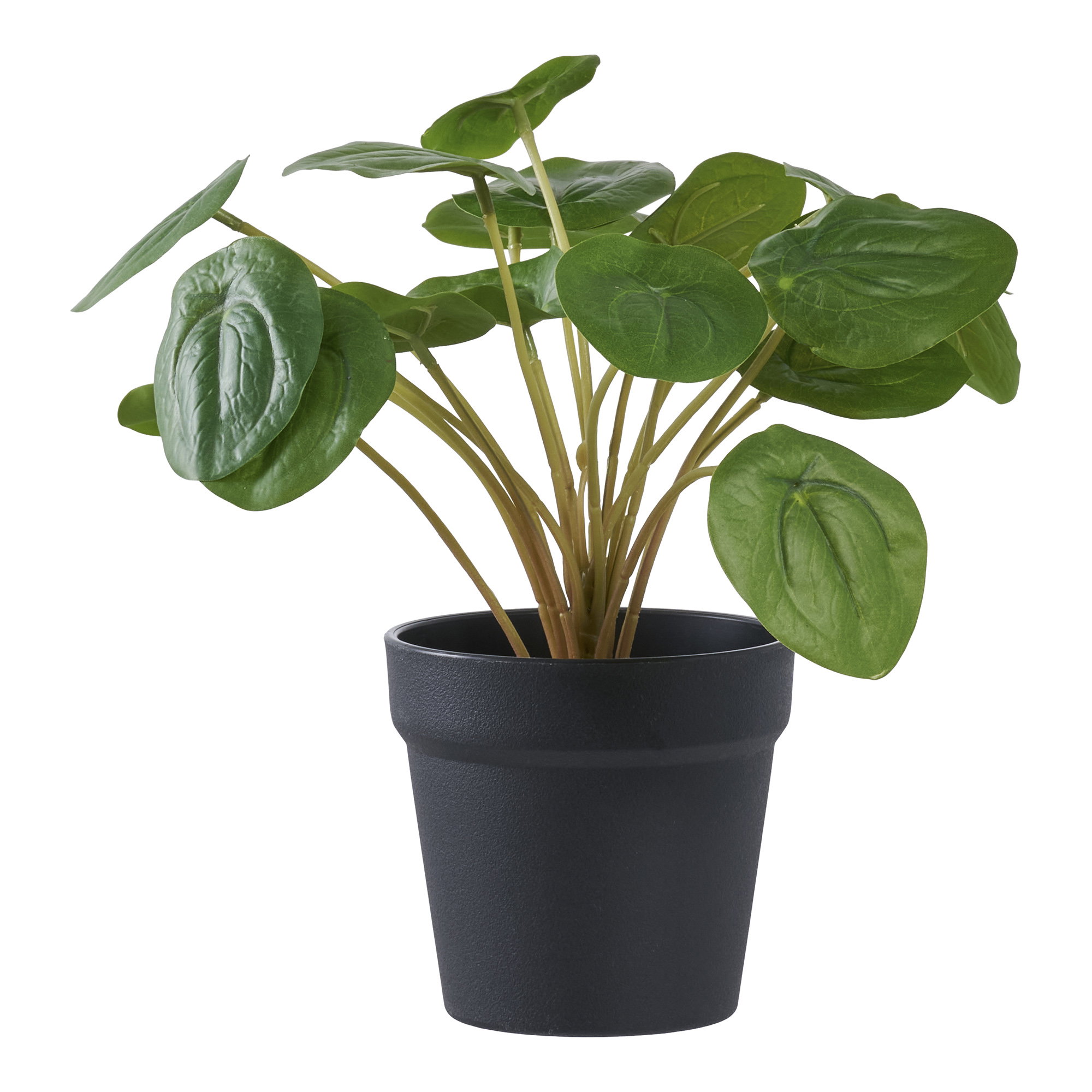 Pelia Kunstplant