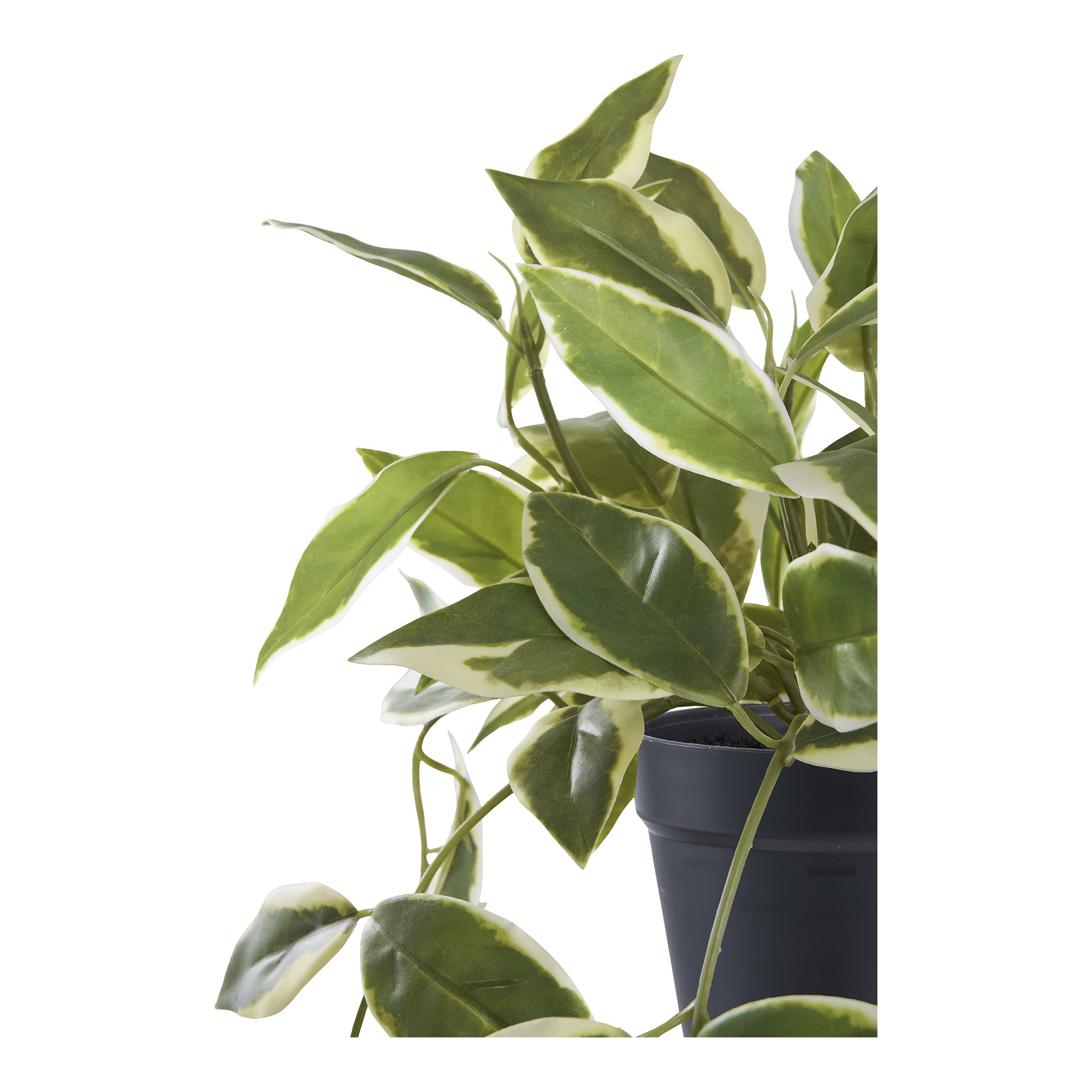 Hoya Carnosa Kunstplant