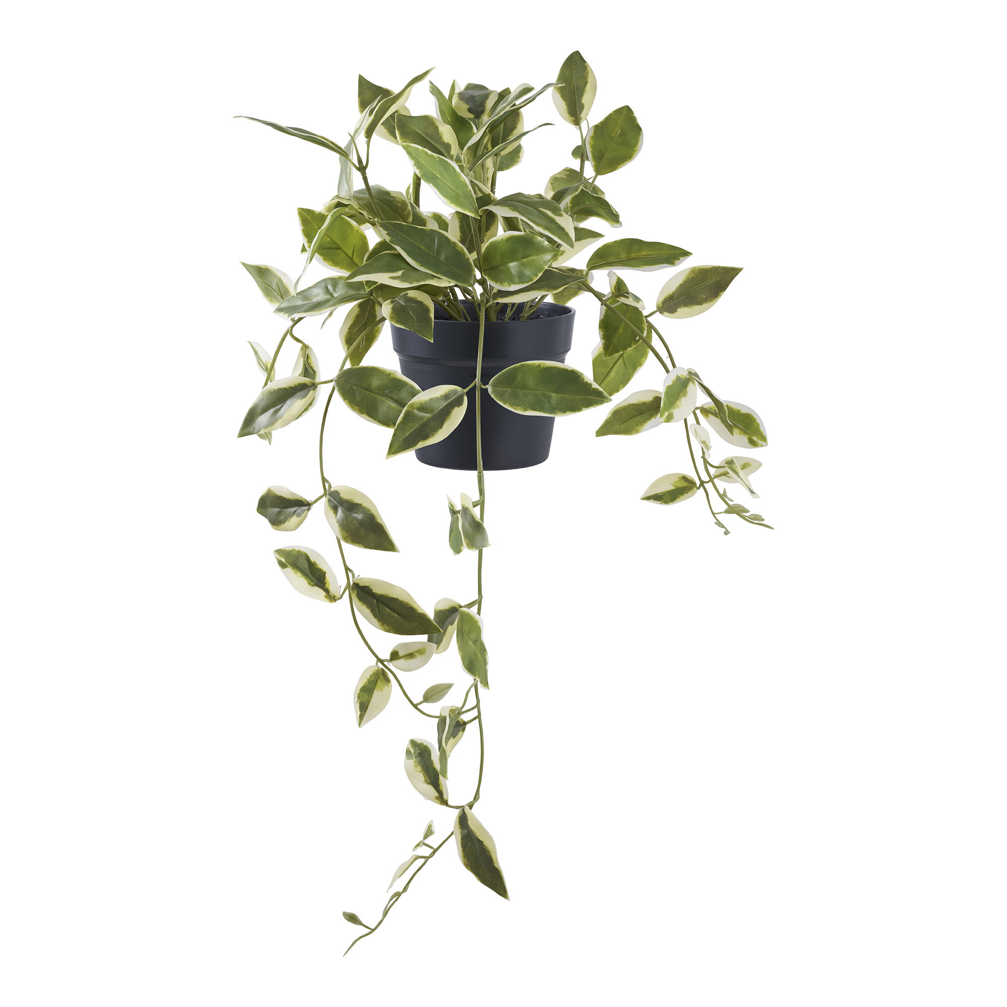 Hoya Carnosa Kunstplant