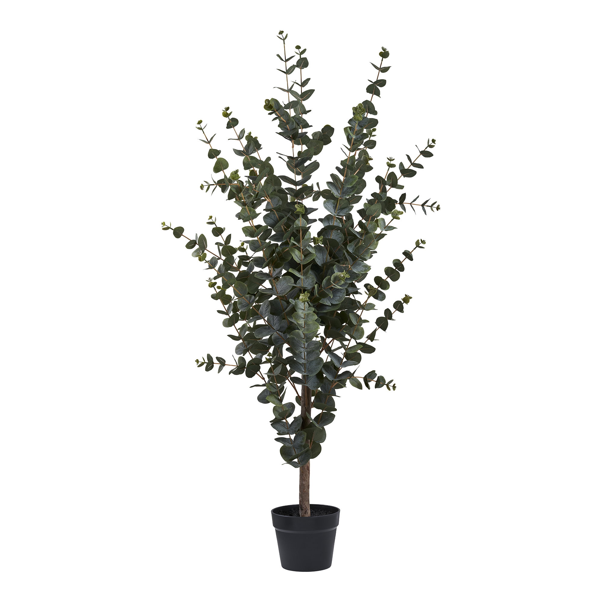 Eucalyptusboom Kunstplant