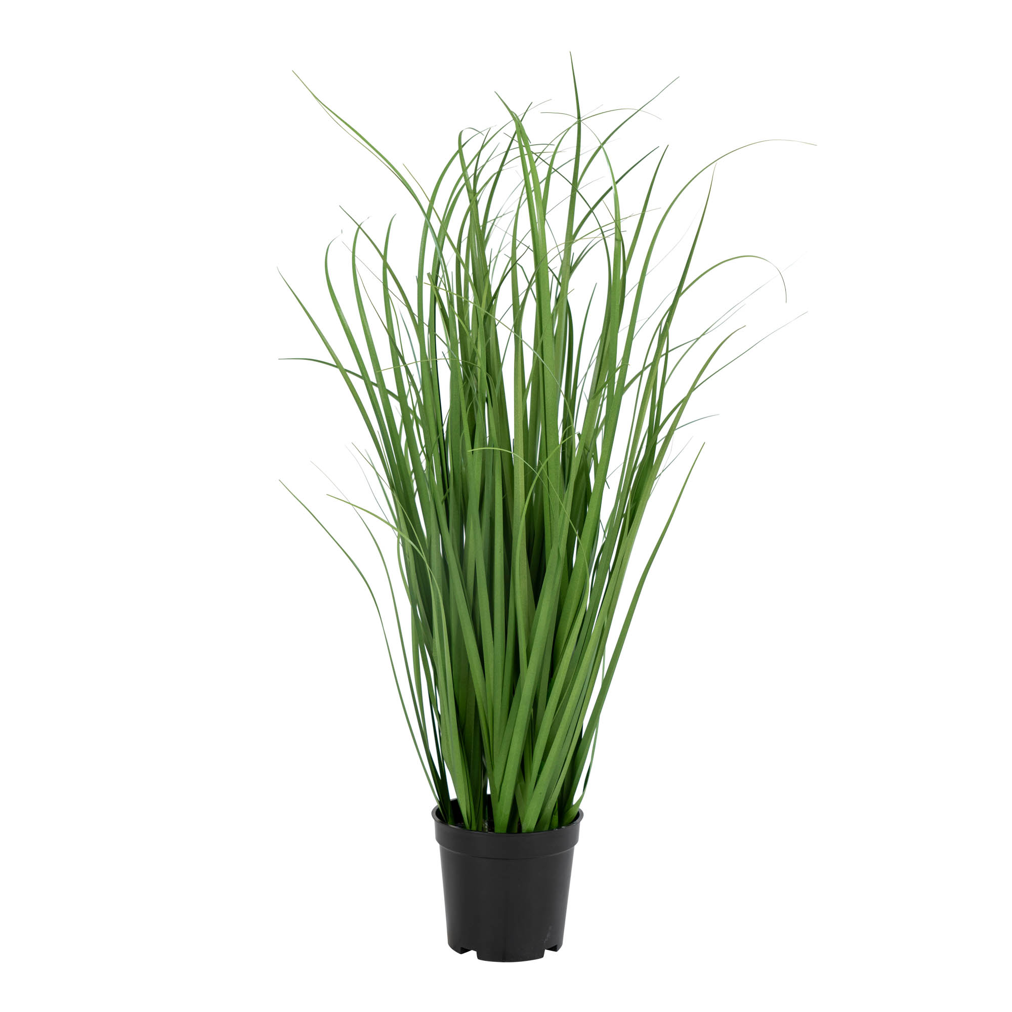 Poa Gras Kunstplant