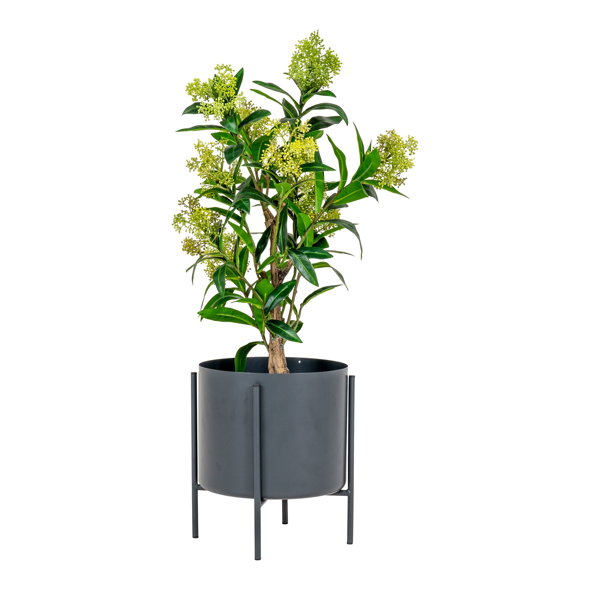 Skimmia Kunstplant