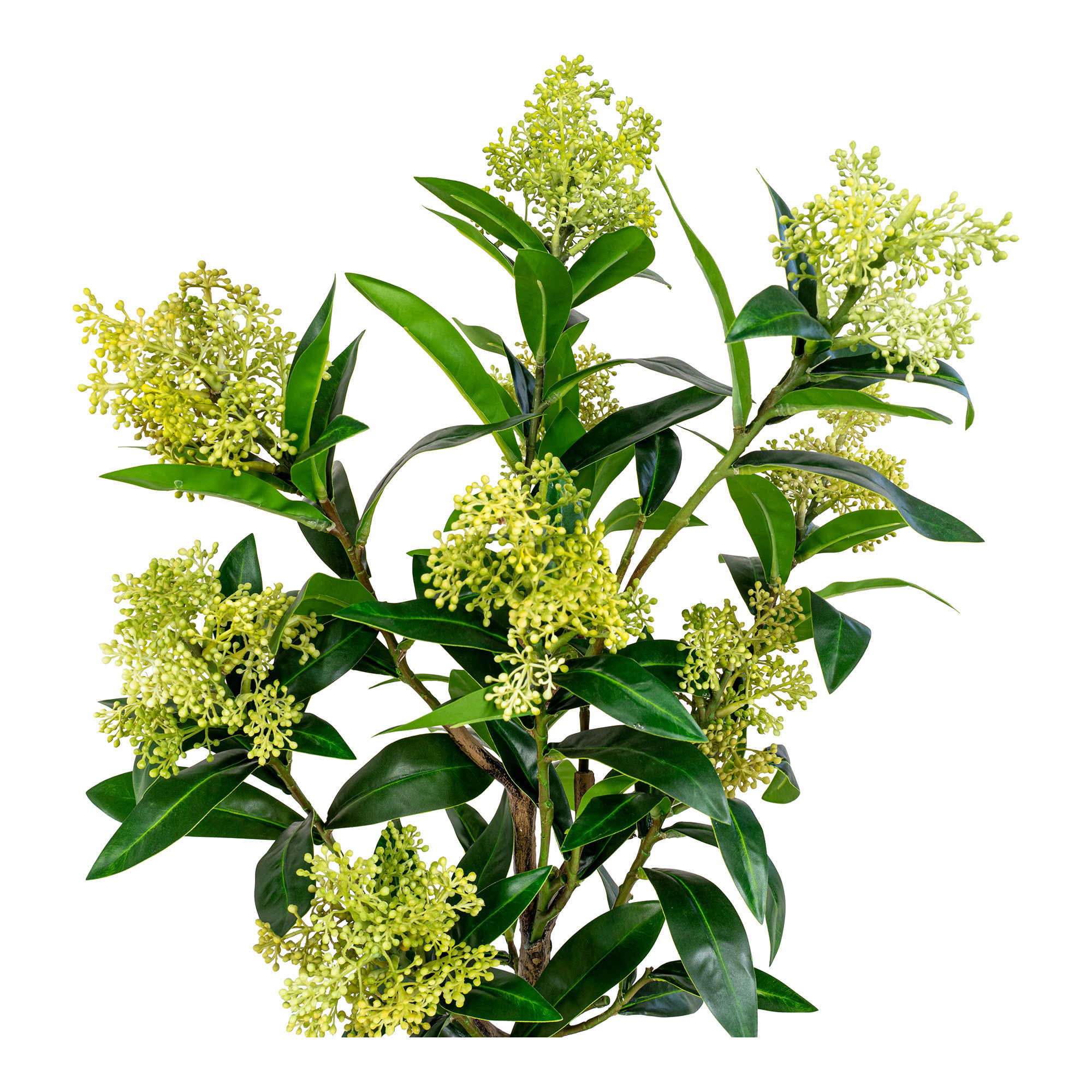 Skimmia Kunstplant