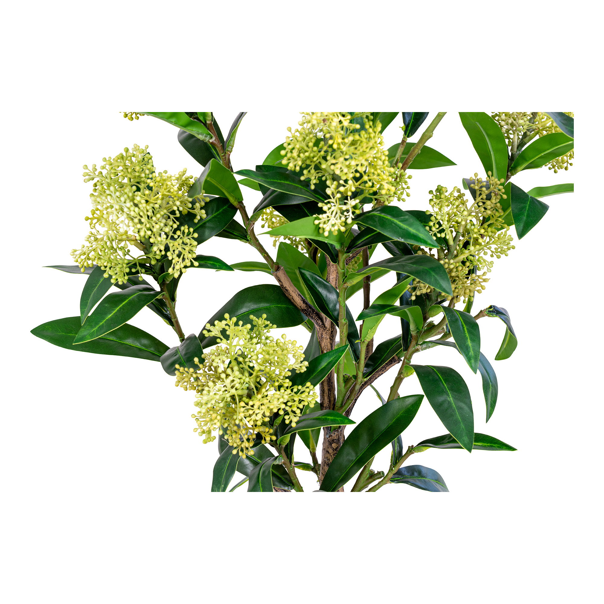 Skimmia Kunstplant