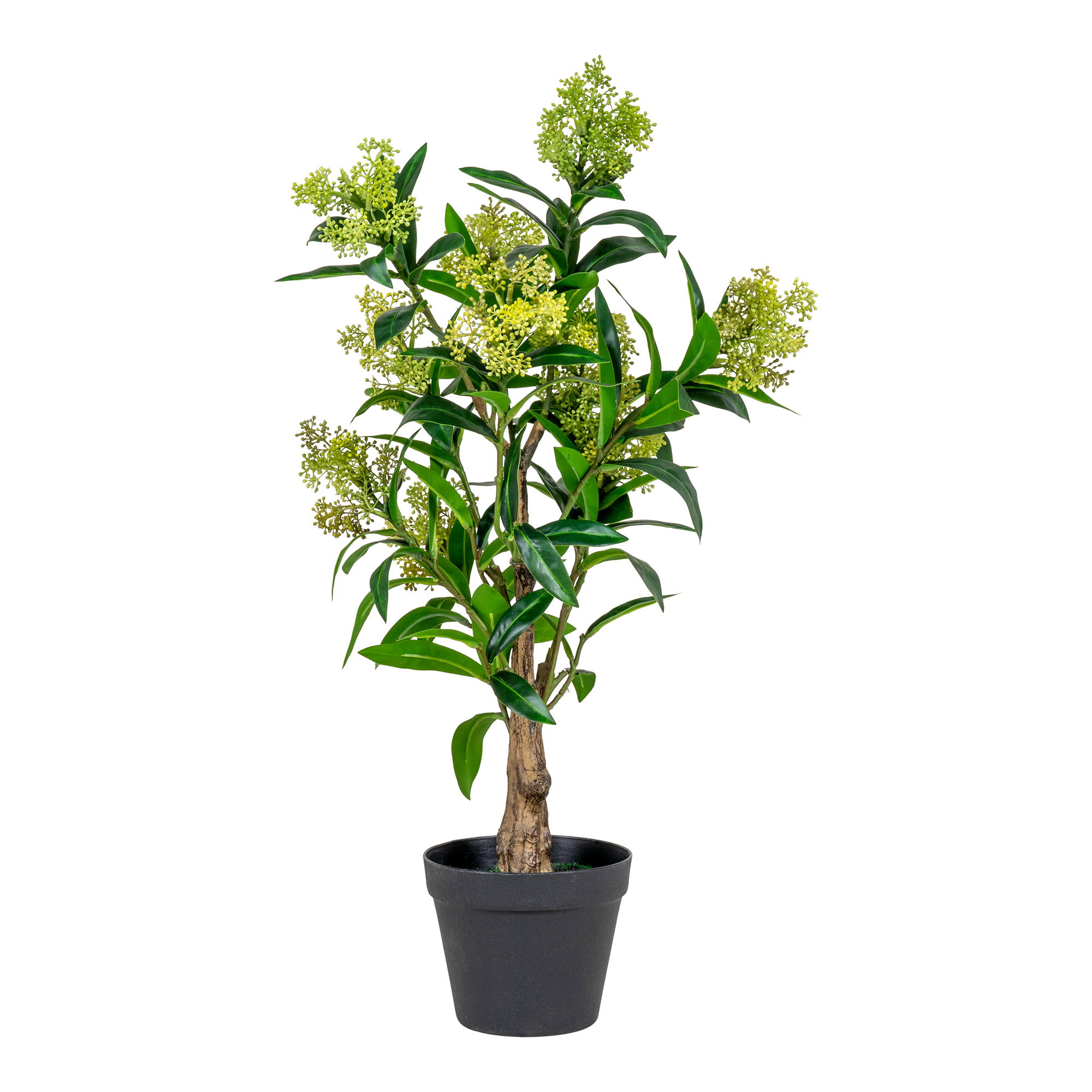 Skimmia Kunstplant