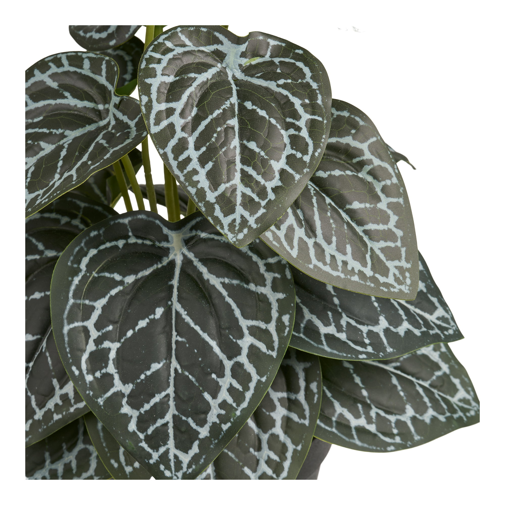 Olifantoor Kunstplant